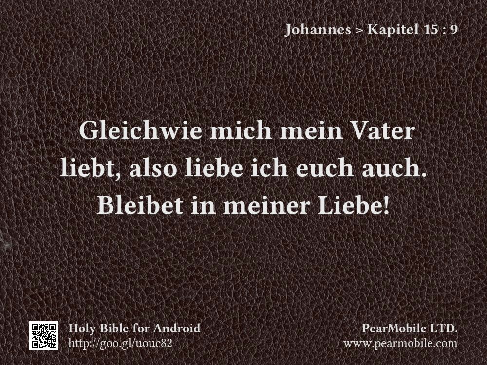 Johannes, Kapitel 15:9